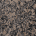 color3